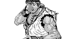 Street Fighter II pour HP48