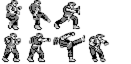 Street Fighter II pour HP48